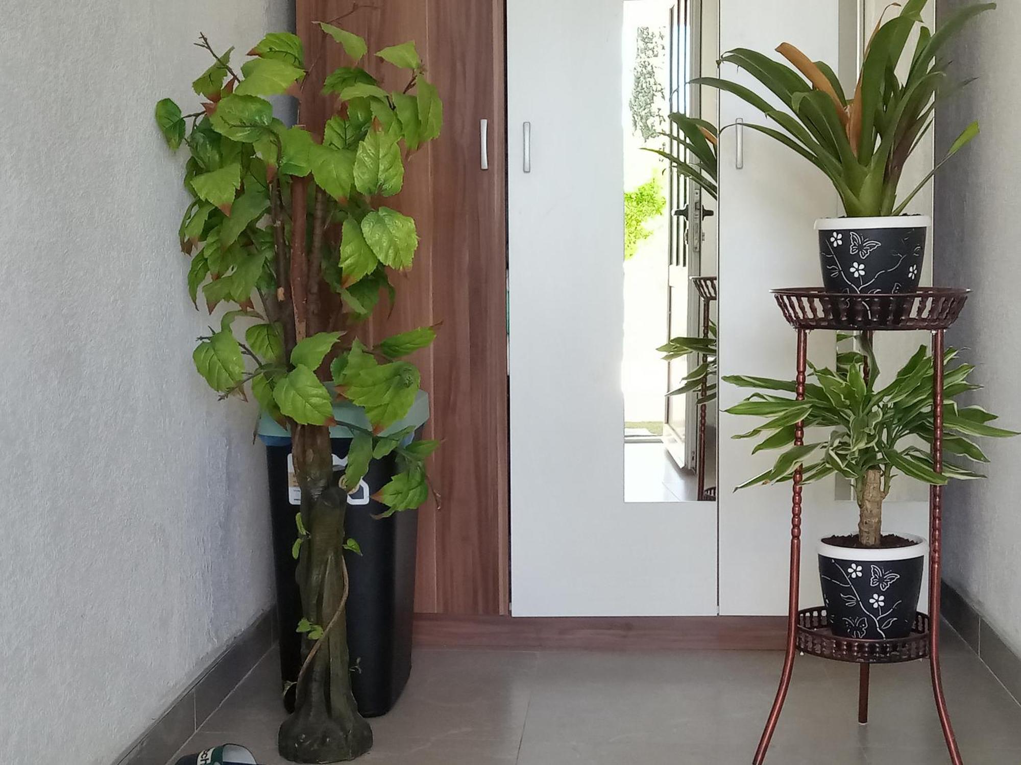 Apartman Hadze موستار المظهر الخارجي الصورة